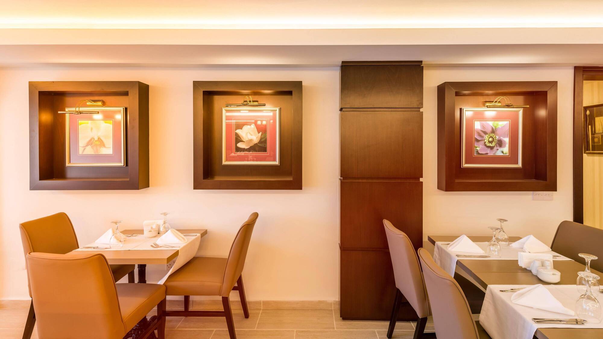 Oscar Park Hotel Next To Antic City Salamis 파마구스타 외부 사진